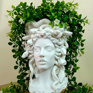 Medusa Head Planter